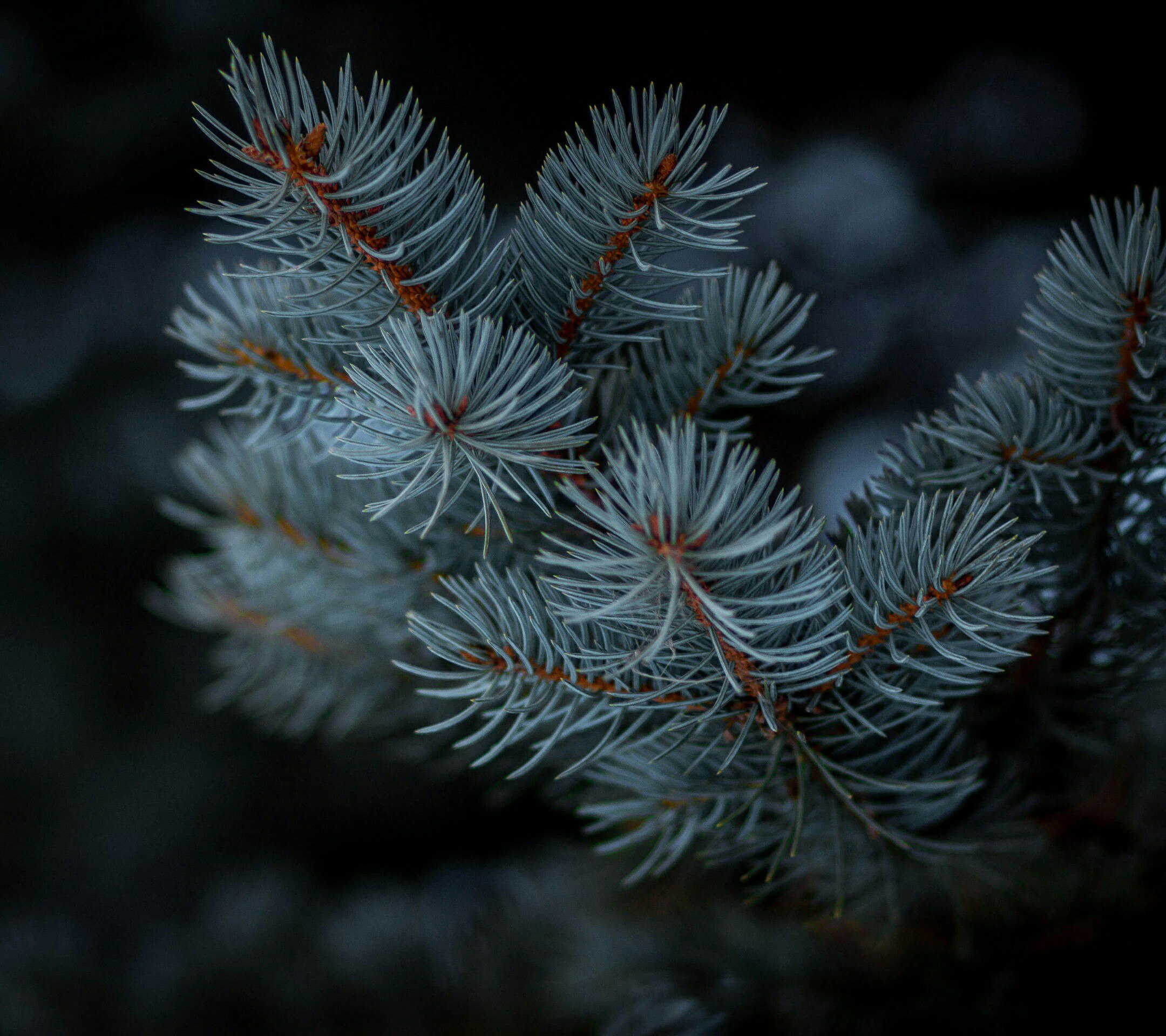 4 места рядом с «Бенуа», где можно насладиться природой
