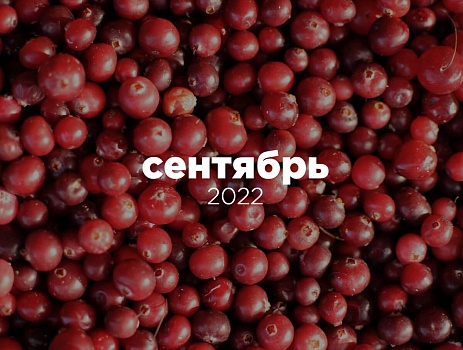 Сентябрь