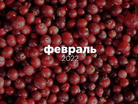 Февраль
